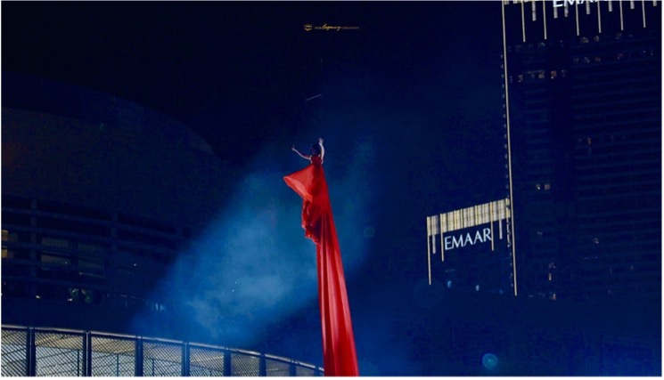 Burj Khalifa NYE 2026 — gallery 6